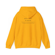 Load image into Gallery viewer, Unisex Heavy Blend™ Hooded Sweatshirt