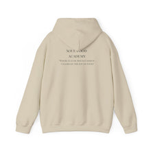 Load image into Gallery viewer, Unisex Heavy Blend™ Hooded Sweatshirt